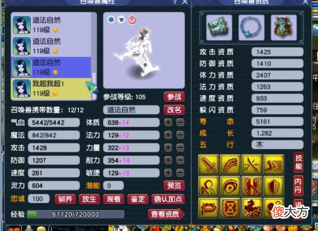 【游戏迷】大话西游2：神威群雄，全服冠军天宫