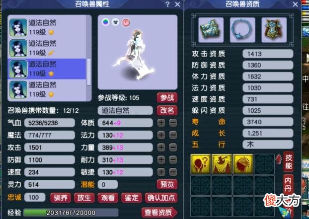 【游戏迷】大话西游2：神威群雄，全服冠军天宫