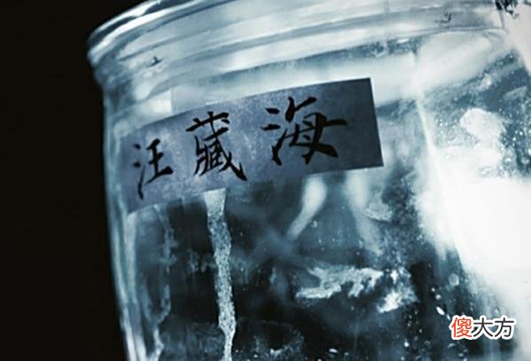 【爱历史】历史上真的有汪藏海吗？汪藏海是真实存在的吗？