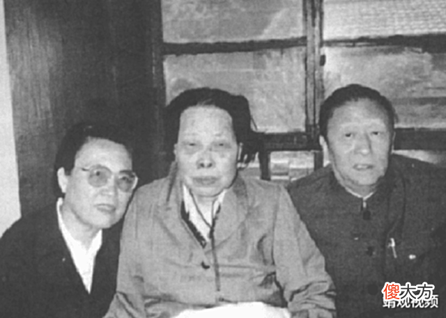 【爱历史】杨虎城第二夫人:曾对婚姻不满,未留下子嗣,却是杨家最大功臣