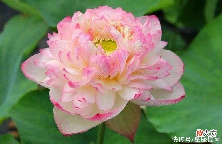 【十二星座】女人味不足，却很旺夫的3个生肖女，幸福日子很长久