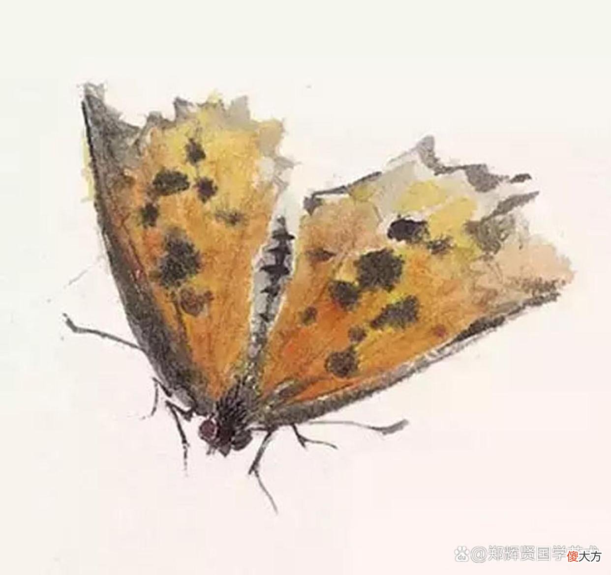 【历史故事】陌上声嘶催绿柳,春风一夜到江南