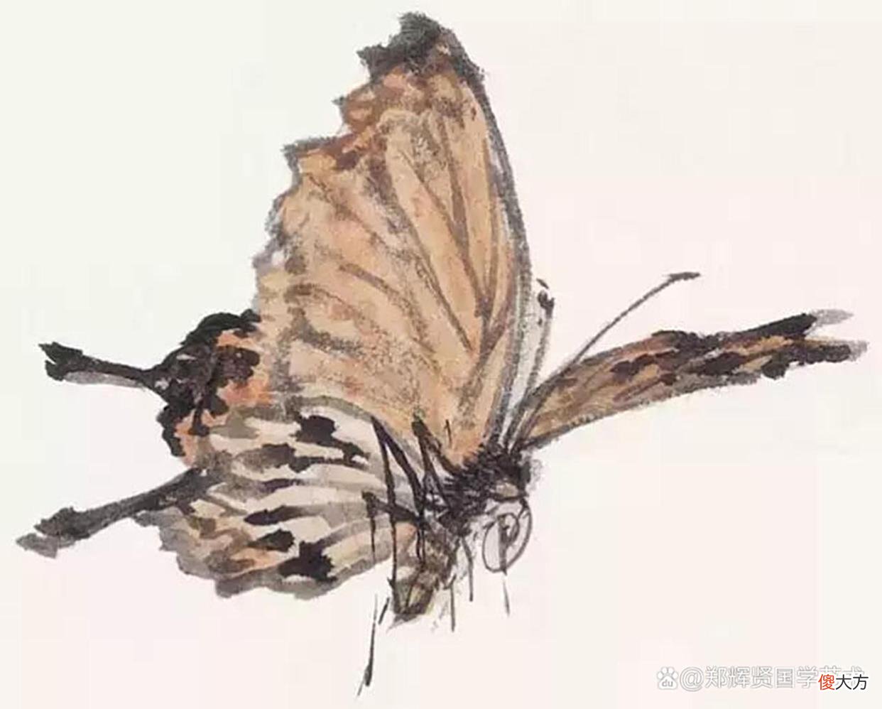 【历史故事】陌上声嘶催绿柳,春风一夜到江南