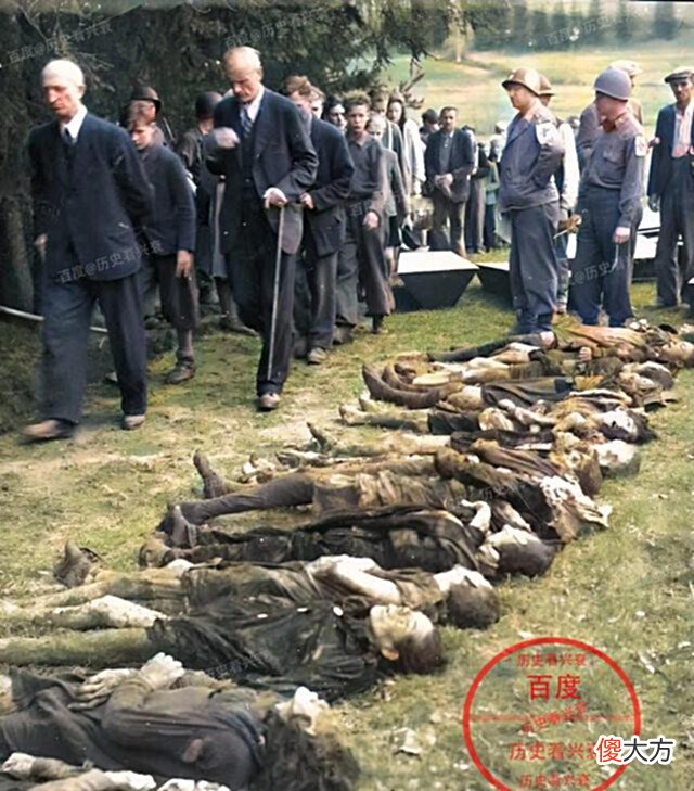 【爱历史】老照片:纳粹德国二号人物戈林,二战时期德国与瑞士边境上的军人