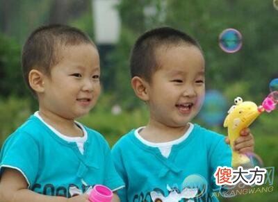 梦见孪生兄弟(图文)