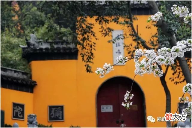 【历史故事】南朝四百八十寺，为何最终出现藏污纳垢之地？达摩早有预言今天事件