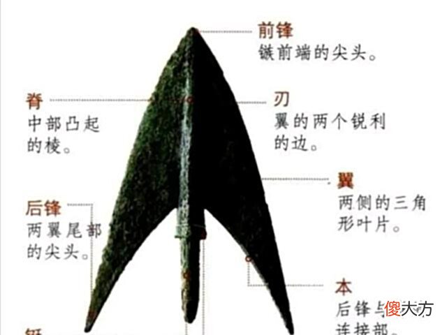 【历史故事】古代箭比想象要可怕,中箭比中枪更难受,看看这些箭长啥样