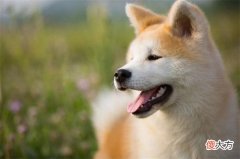 【历史故事】中伏古诗五首：六月正中伏，炎云中伏初