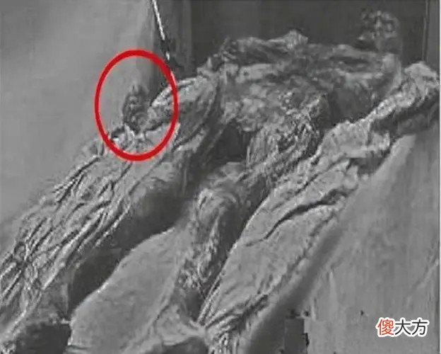 【爱历史】光绪真的是被毒死的吗？死后72年从头发中检验出真相