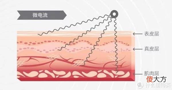 【时尚一点】婚礼前三个月才开始急救护肤，现在入手巧本双头美容仪晚不？超全的美容仪选购经验分享！