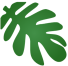【爱历史】郑纪“抱芋上书”