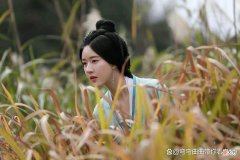 【爱历史】星汉灿烂：原著中凌不疑到底有多得宠，皇帝义子，都城女子白月光