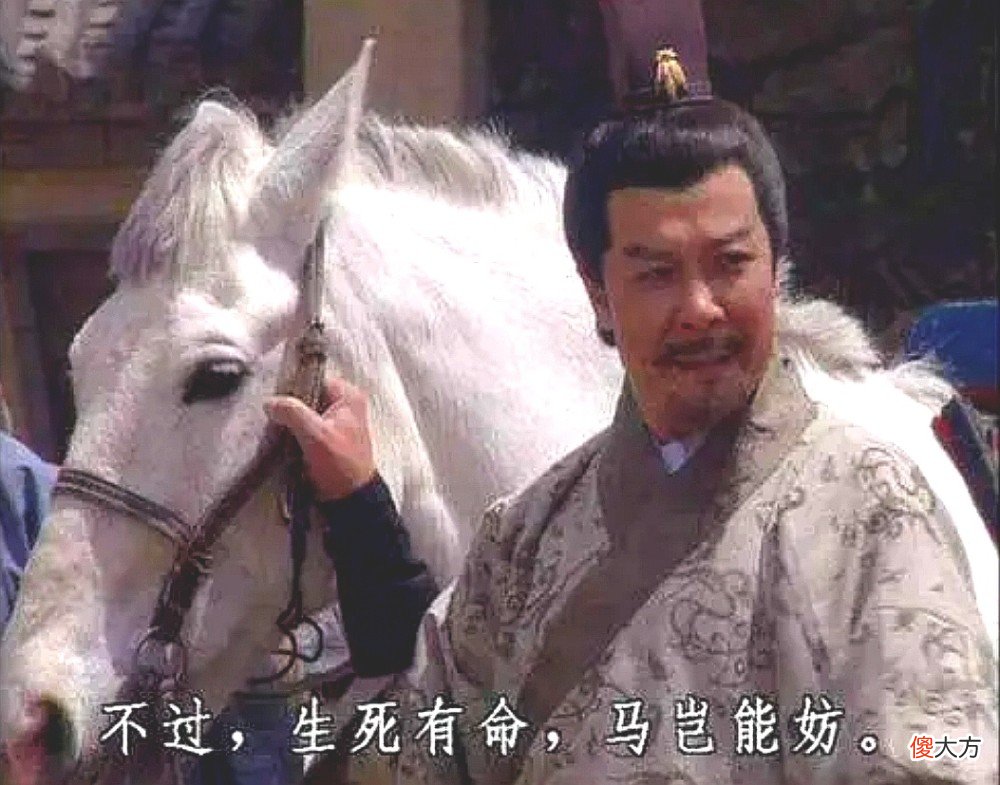 【历史故事】盘点三国演义中除了赤兔马，还有哪些宝马