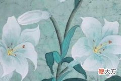 属蛇用什么手机号后四位数字最有利