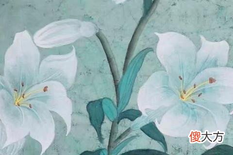 属蛇用什么手机号后四位数字最有利