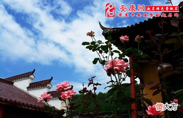 梦见老公有新欢(图文)