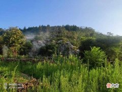 【就爱时尚】盛夏绿色的茂陵山