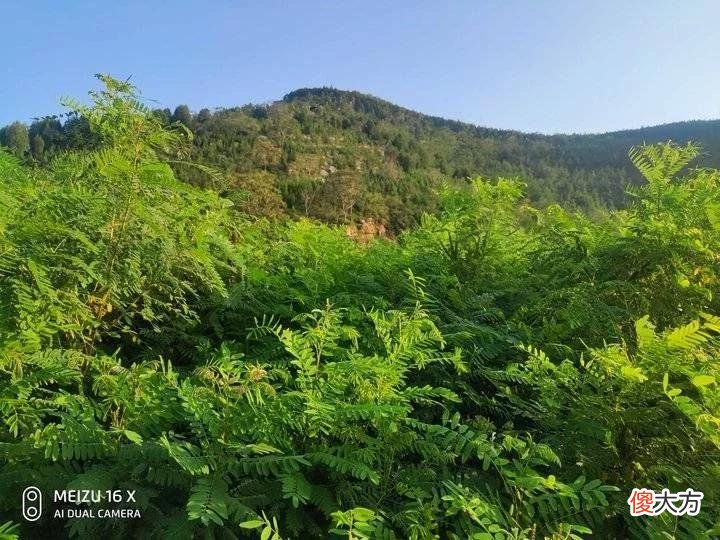 【就爱时尚】盛夏绿色的茂陵山