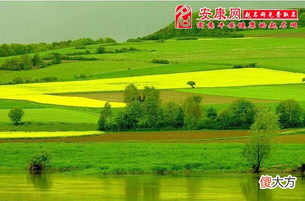 梦见和姨子偷情(图文)