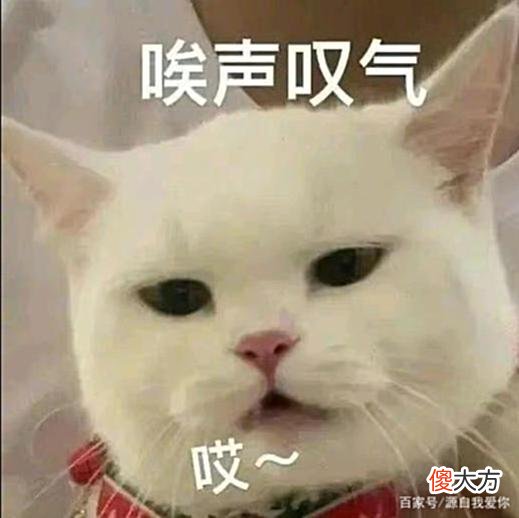 【游戏世界】英雄联盟：大乱斗原罪，生而为“丢”，我很抱歉