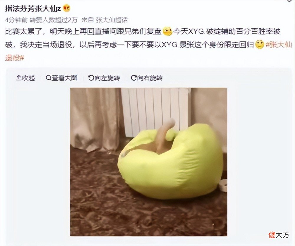 【游戏迷】雷霆联赛告一段落，张大仙当场决定退役？只因百分百胜率遭到终极