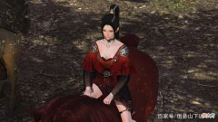 【历史故事】「雪中悍刀行第二季1」女侠押镖走北莽，书生跨刀赴边关