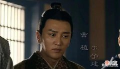 【历史故事】天资聪颖的曹冲,为何13岁就早逝?司马懿说出实情:他真的蠢