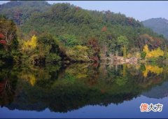 【爱历史】龚楚叛变，带队来抓陈毅！红军排长识破，陈毅感念救命之恩