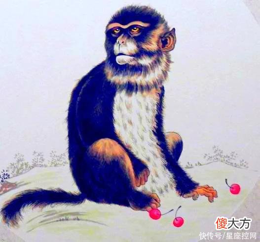 【十二星座】八月开局有新惊喜，3生肖职场开门红，事业大成功，钱包发福