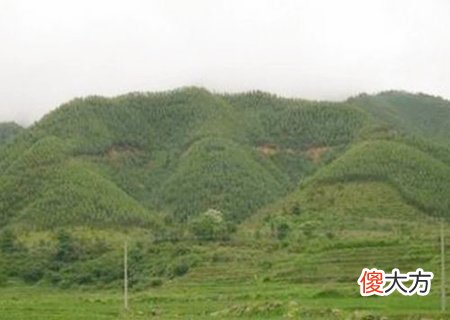 好的祖坟风水几年见效