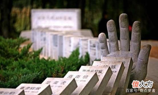 时隔100多年，“神奇巨龟”重现地球，为什么灭绝物种还会复活？