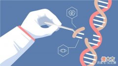 人类引以为傲的“基因改造工程”，早已被这些生物玩转了