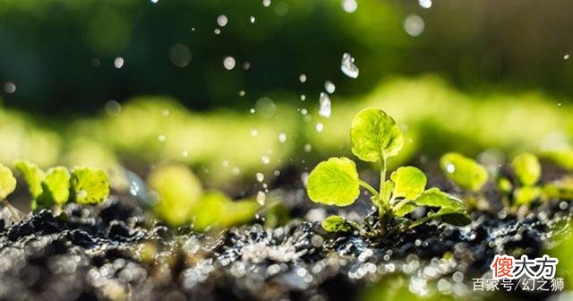 人类引以为傲的“基因改造工程”，早已被这些生物玩转了