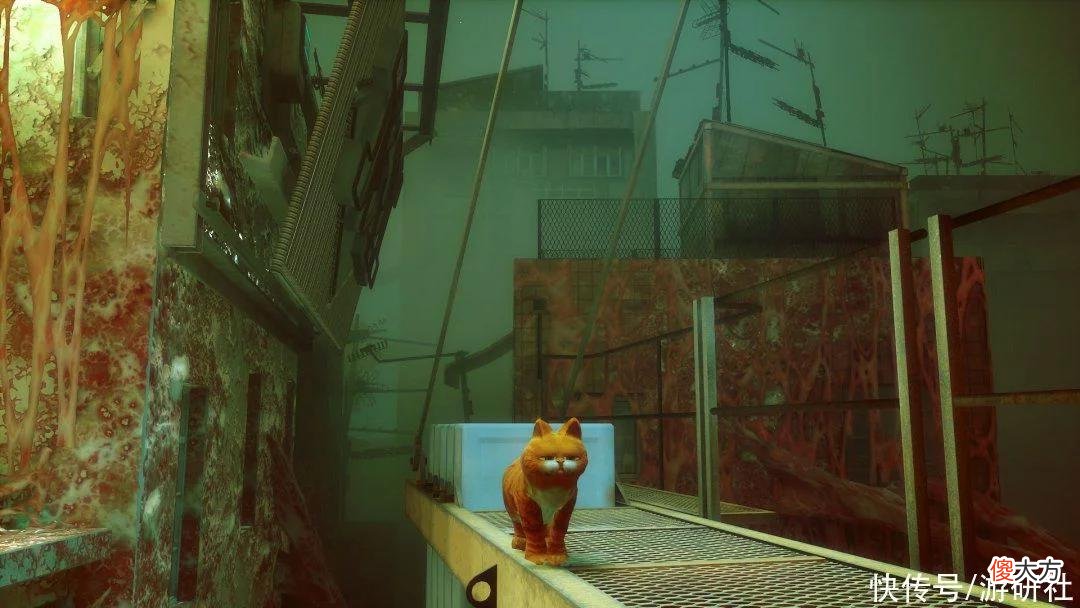 【游戏世界】可爱猫猫变成奇行种，《Stray》已经被MOD作者玩坏了