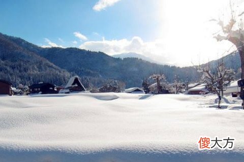 梦见地上有雪