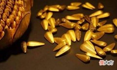 【历史故事】古时候，皇帝打赏的“金瓜子”有何用，妃嫔们为何接过后会欣喜？