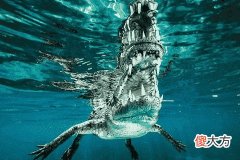 梦见别人掉水里