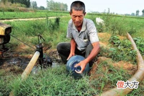 梦见浇地是什么意思
