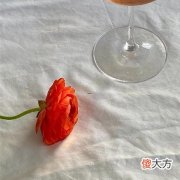 天秤座最害怕那个星座