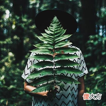 8月9日是什么星座阳历