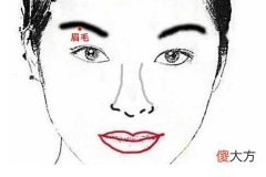 梦见有人给我介绍对象