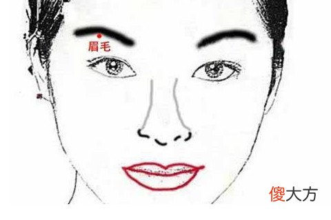 梦见有人给我介绍对象