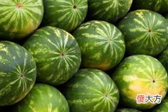 梦见摘西瓜是什么意思