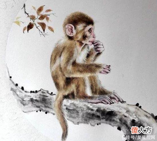 【十二星座】人善有天帮的四大生肖，做好事不留名，好运气没商量，8月有福