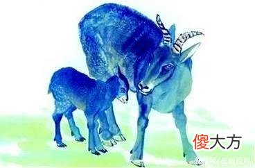 【十二星座】生活越困难，潜力就越大的生肖，潜力卧虎藏龙，不怕做不了有钱人