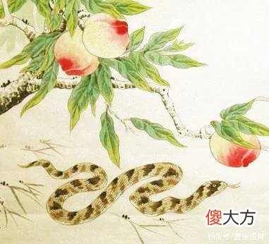 【星座控】被桃花环绕的3个生肖，从小受宠，未来可期，找对象不会找错人