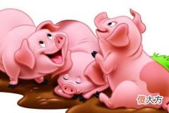 梦见两头猪是什么意思