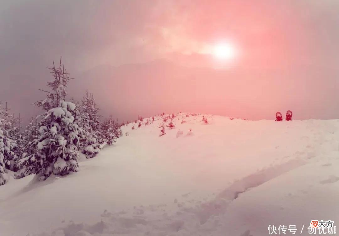 【星座控】实力强大的3个生肖,8月,综合运势向好,诸事大吉,有望美梦成真