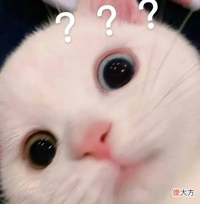 【就爱时尚】杨幂受伤了？五官位置里权值第一的是？