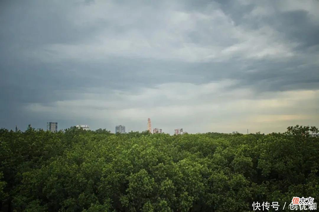 【星座控】大器晚成的3生肖，后半生，运势逆行，强势翻身，添喜添财添富贵